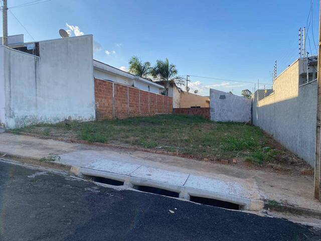 #31 - Terreno para Venda em Catanduva - SP - 1