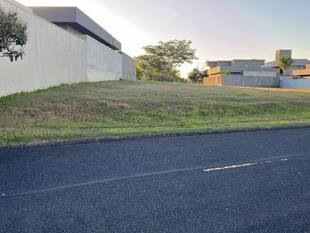 #38 - Terreno para Venda em São José do Rio Preto - SP - 2